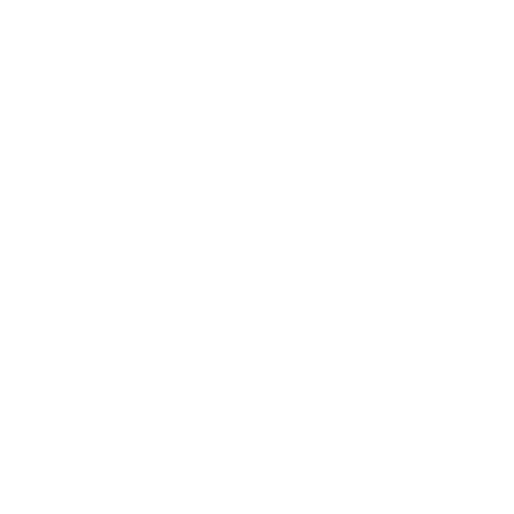 Run & Optimise Paid Advertising Campaigns